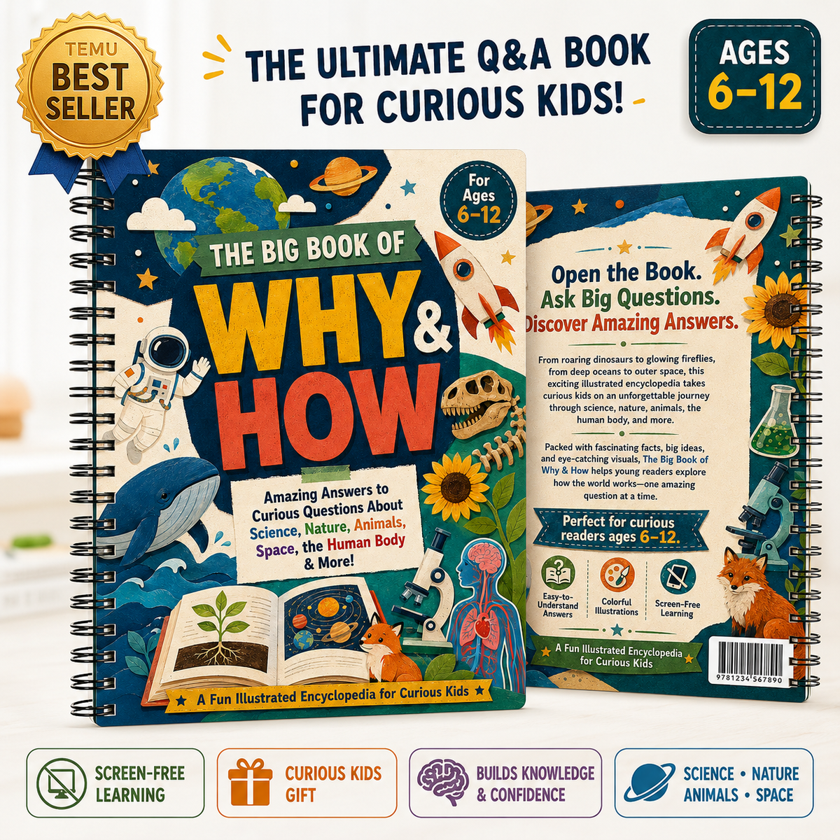 THE BIG BOOK FO WHY AND HOW